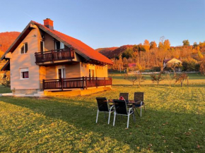 Snow House Minić